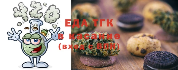 ECSTASY Горняк