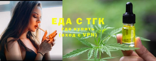 ECSTASY Горняк
