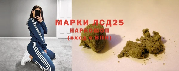ECSTASY Горняк