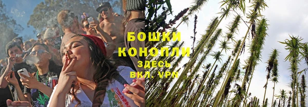 ECSTASY Горняк