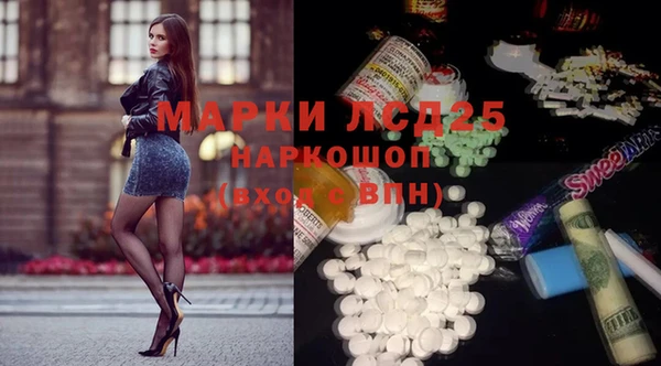 ECSTASY Горняк