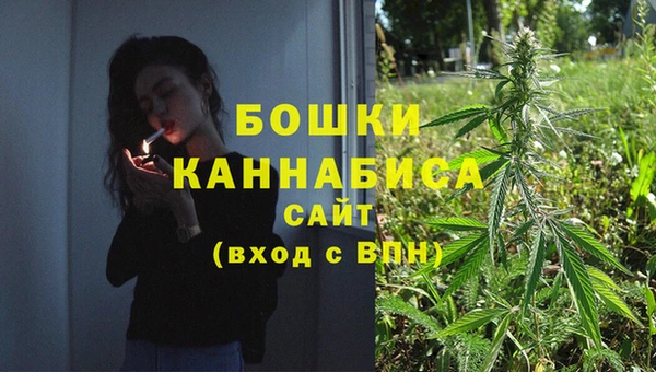 ECSTASY Горняк