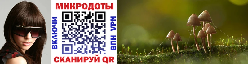 Купить  Константиновск  Псилоцибиновые грибы GOLDEN TEACHER 